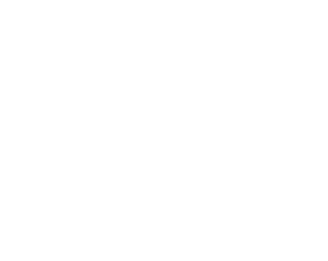 AuctionWorks